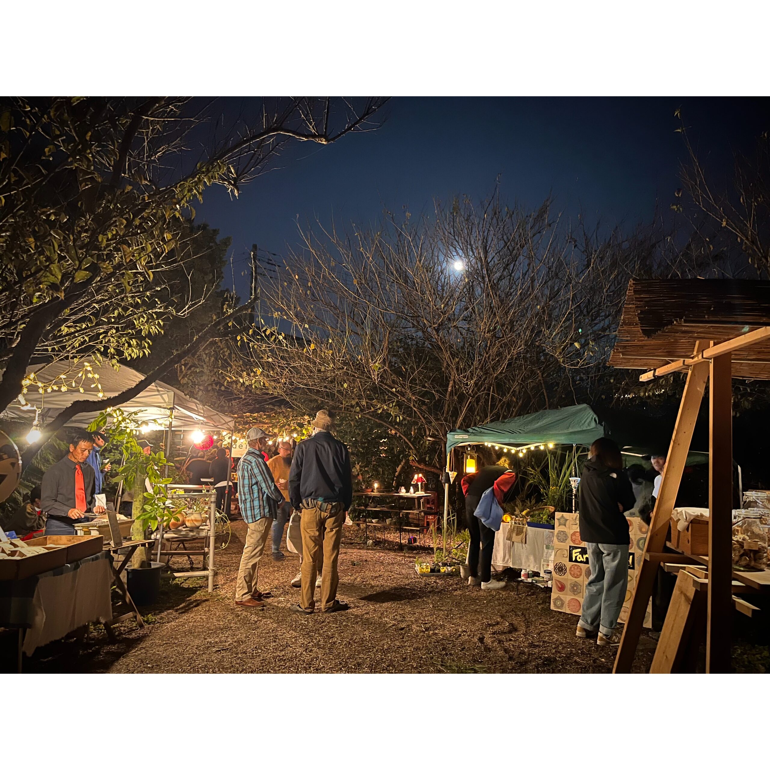 ニュー房総プロセス vol.003｜NU BOSO PROCESS vol.003