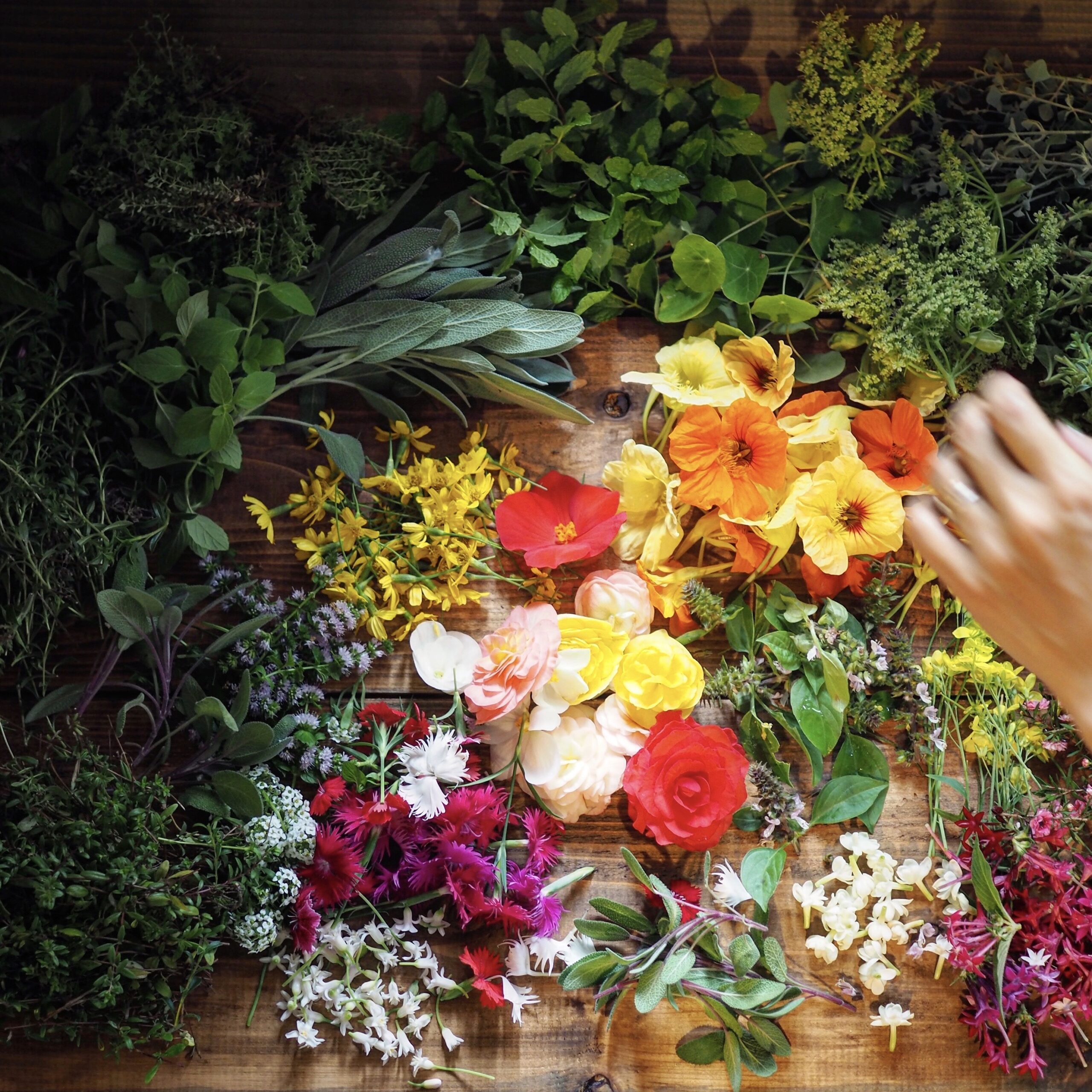 苗目さんのハーブとエディブルフラアワー(食用花)